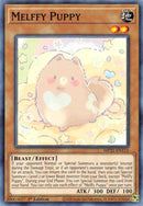 Chiot Melffy [MP21-FR115] Commune