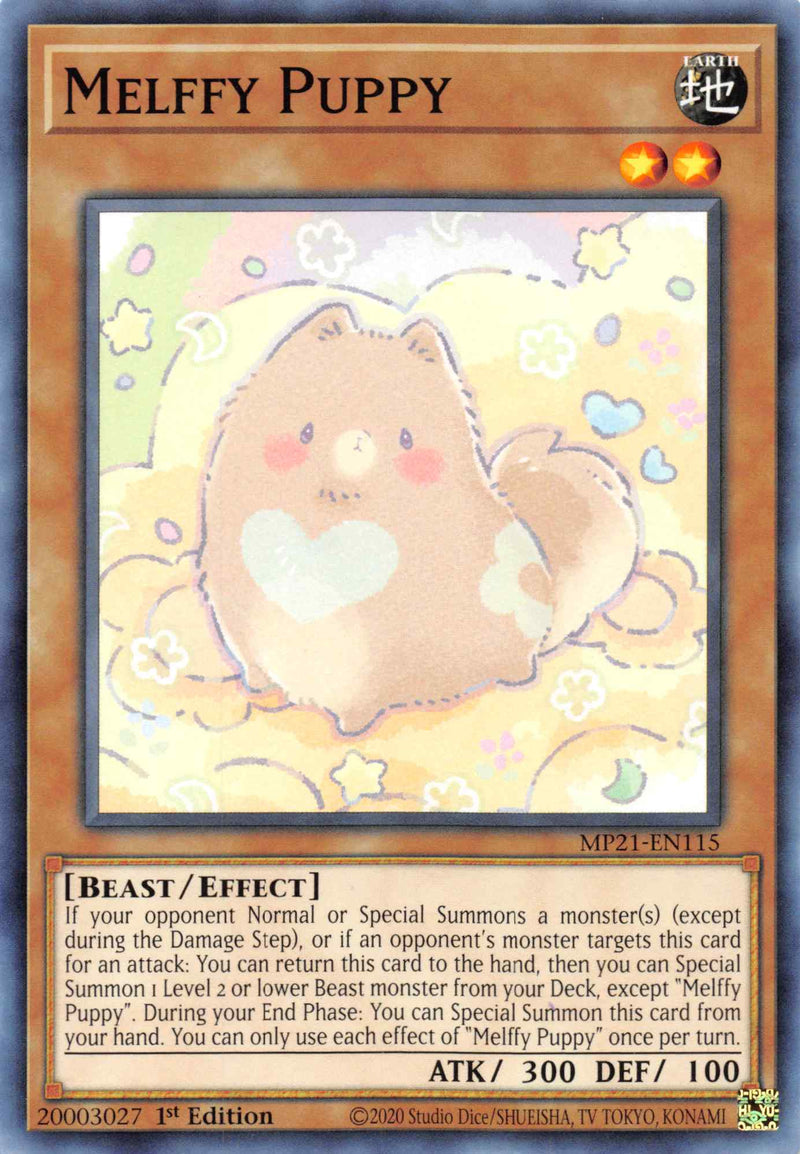Chiot Melffy [MP21-FR115] Commune