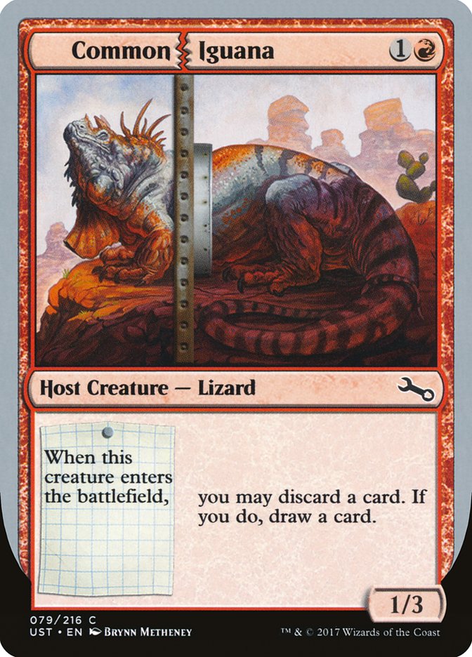 Iguane commun [Instable]