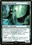 Druidesse incubatrice [Prerelease Promos de l'Allégeance de Ravnica]