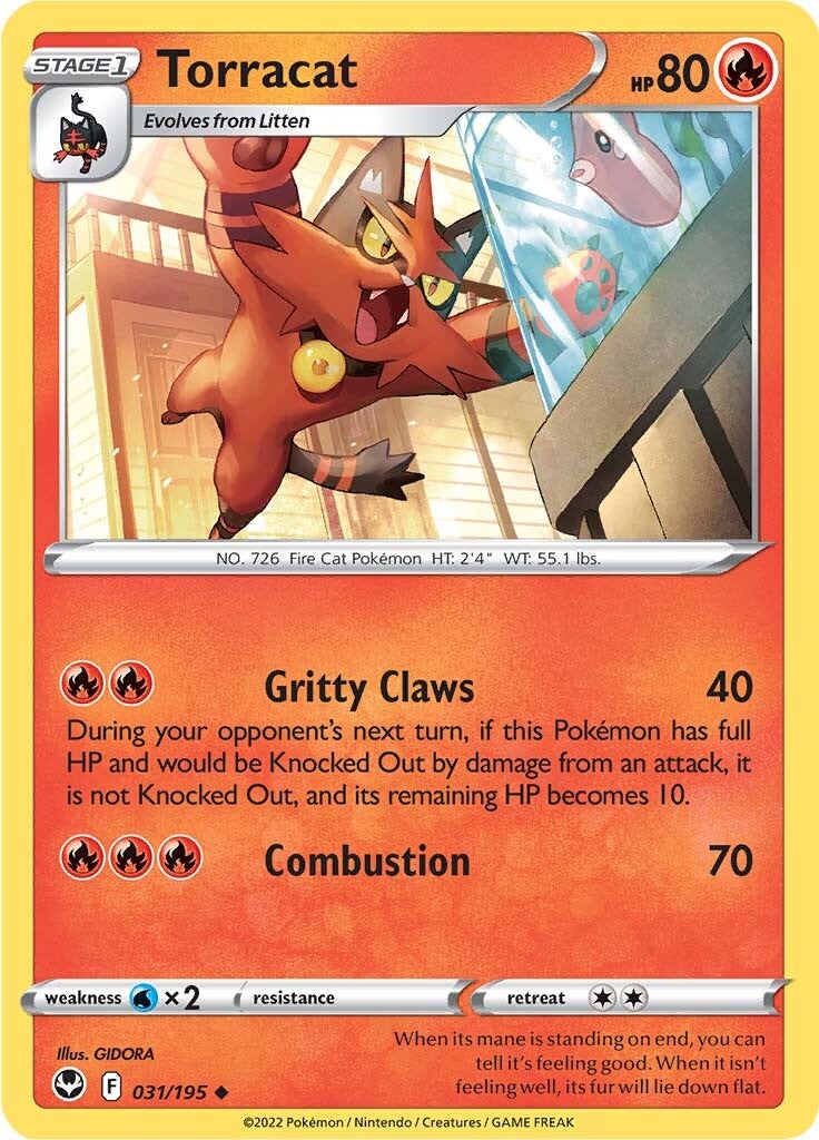 Torracat (031/195) [Espada y Escudo: Tempestad Plateada]