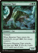 Tigre Rive-Brume [Kaladesh]