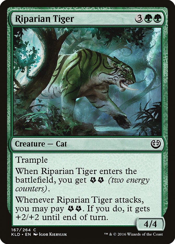 Tigre Rive-Brume [Kaladesh]