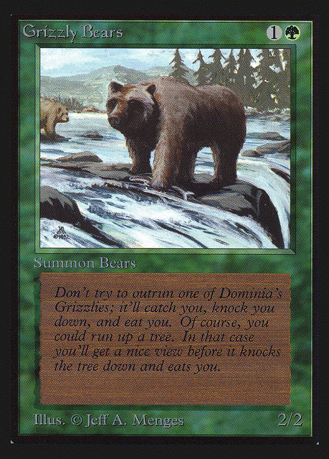 Ours grizzlis [Édition collector]
