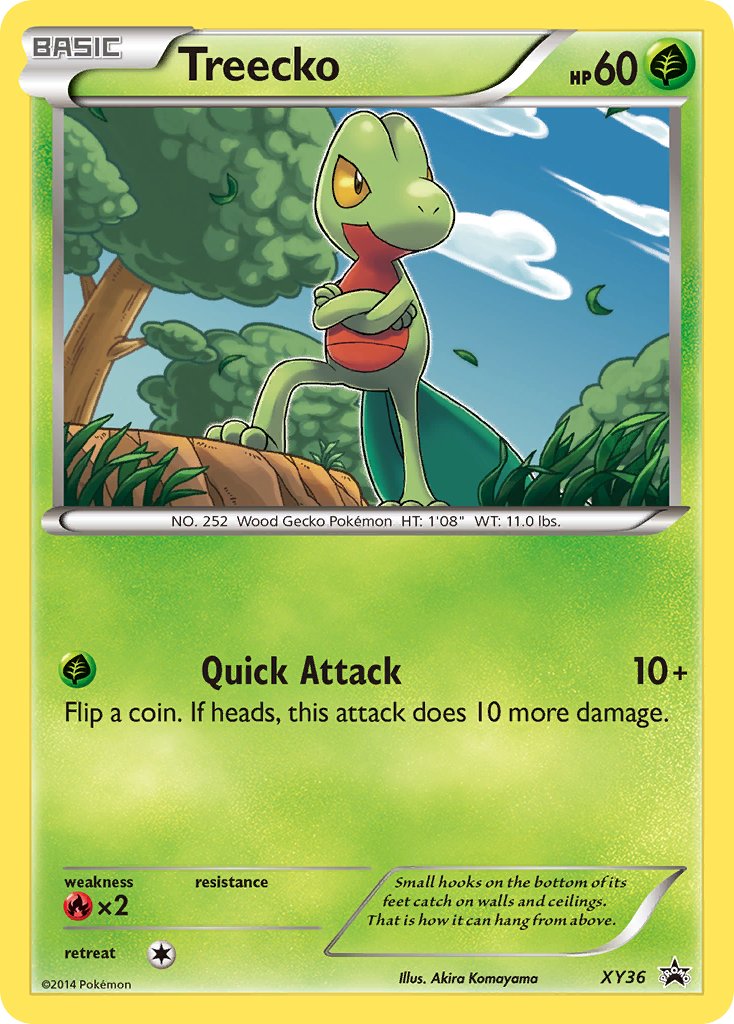 Arcko (XY36) [XY : Promo Black Star]