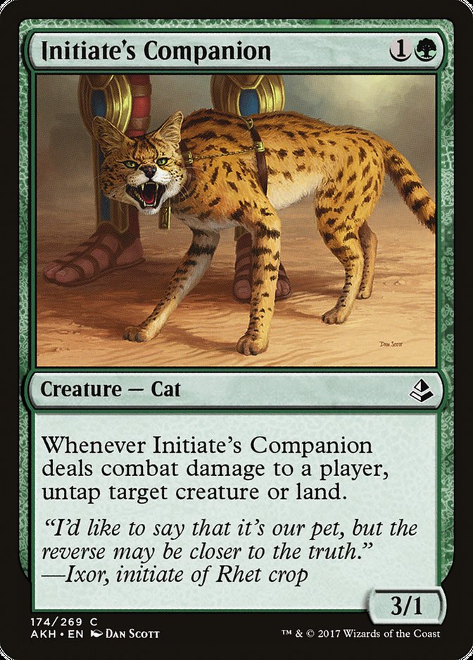 Compagnon de l'initié [Amonkhet]