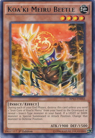 Coléoptère Koa'ki Meiru [BP03-FR066] Rare