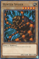 Araña Cazadora