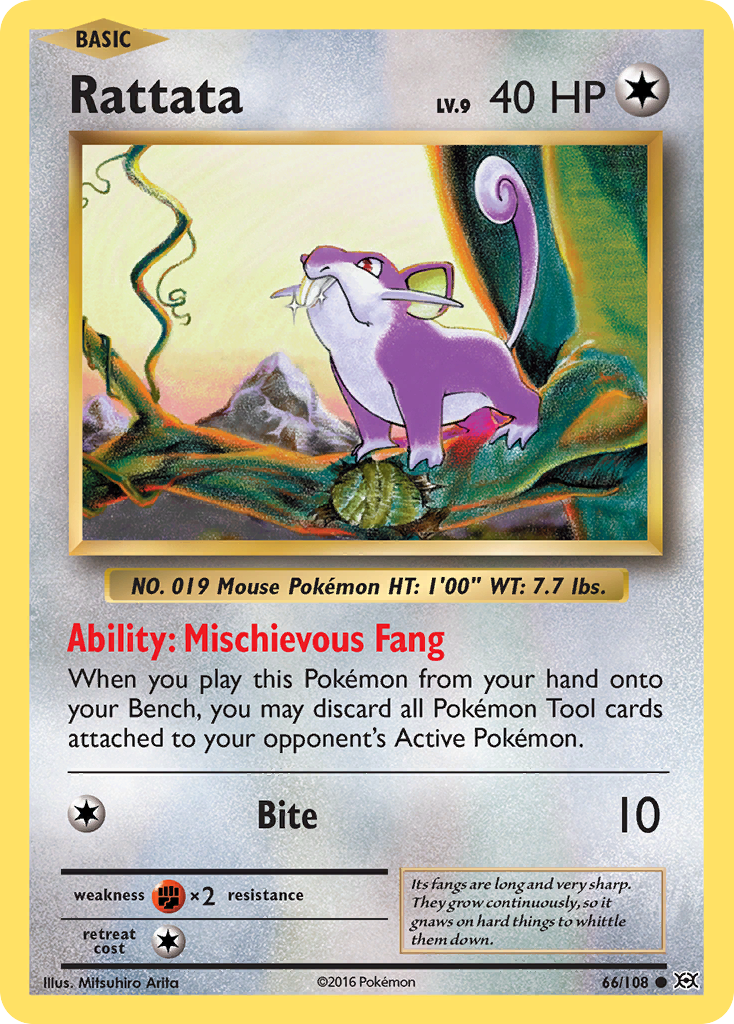 Rattata (66/108) [XY: Évolutions]