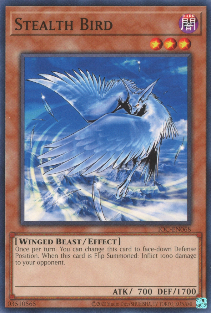 Oiseau furtif [IOC-FR068] Commune