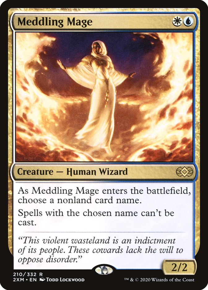 Mage Enchevêtreur [Double Masters]
