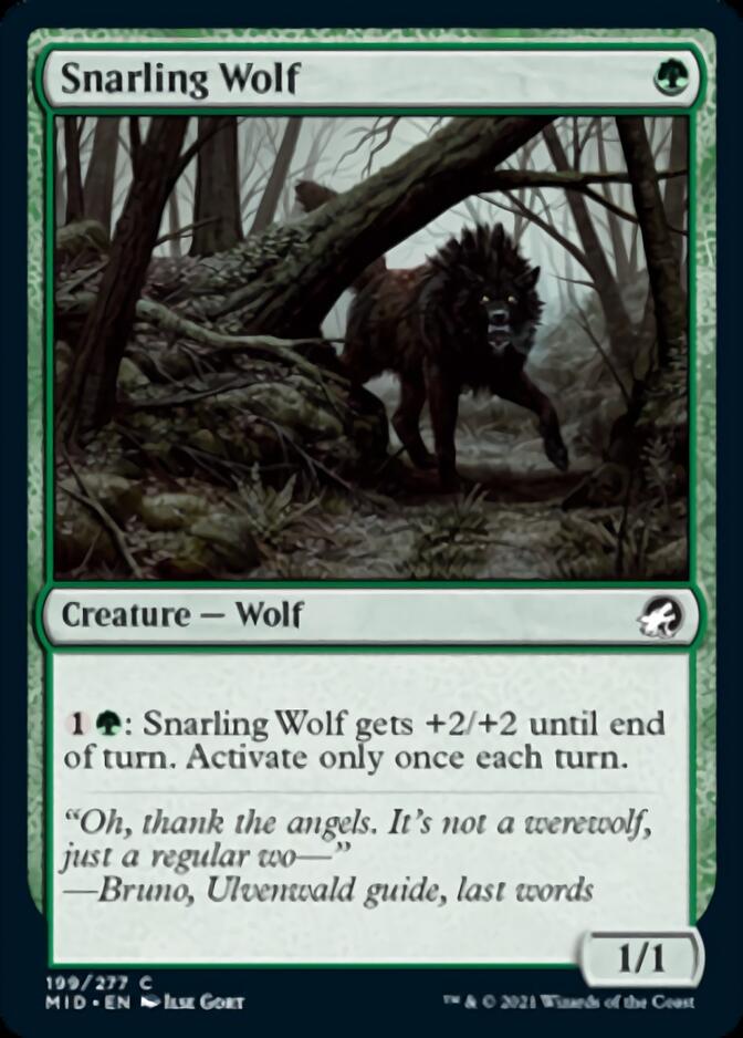 Loup grognant [Innistrad : Chasse de minuit]