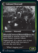 Expert en infestation // Loup-garou infesté [Innistrad: Double Feature]