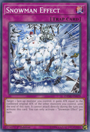 Efecto Muñeco de Nieve [DANE-SP079] Común