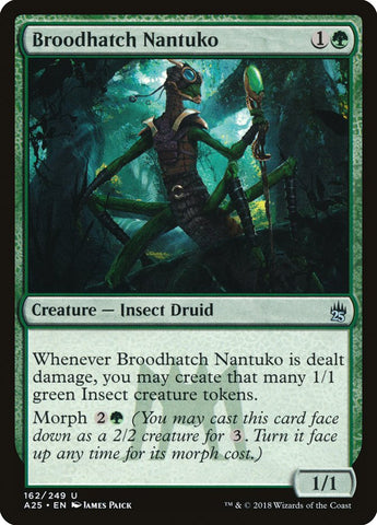 Nantuko incubador [Masters 25]