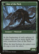 Chasseur solitaire // Un loup dans la meute [Ténèbres sur Innistrad]