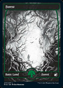Forêt (277) [Innistrad : Chasse de minuit]