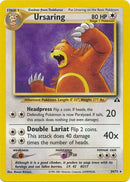 Ursaring (34/75) [Néo Discovery Illimité]