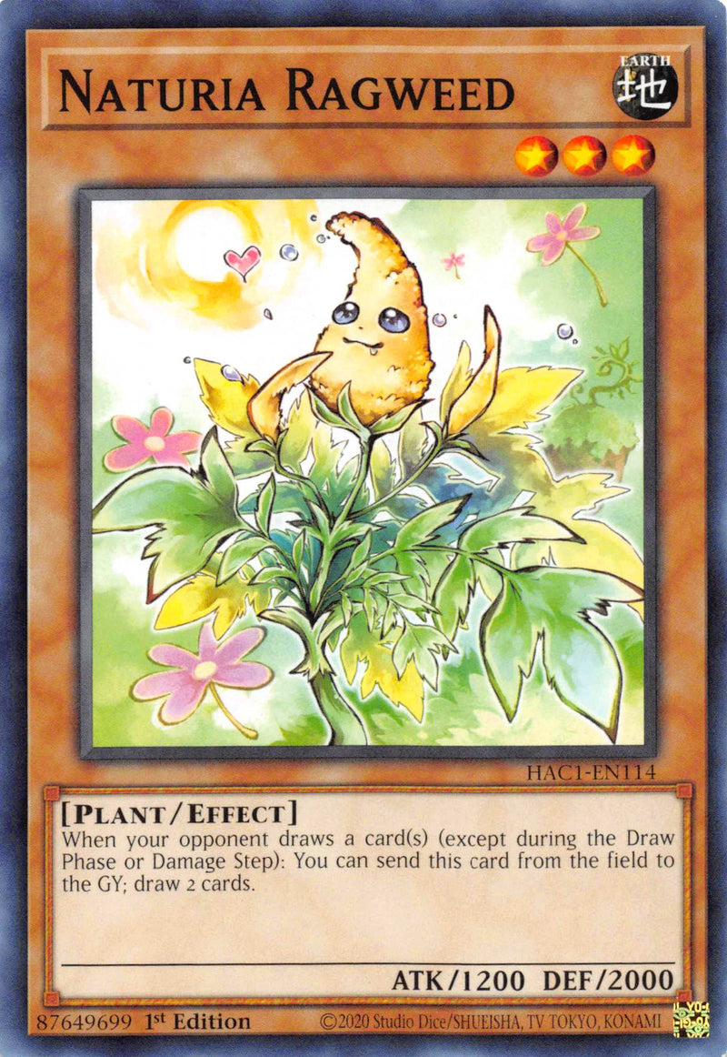 Naturia Ambrosia [HAC1-FR114] Commune