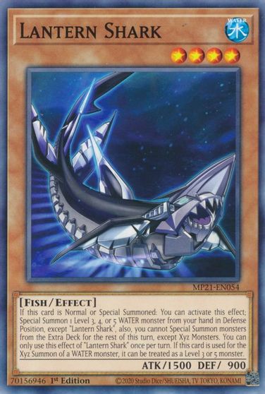 Requin Lanterne [MP21-FR054] Commune