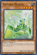 Mante Naturia [HAC1-FR113] Commune