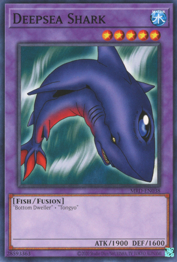 Tiburón de Aguas Profundas [MRD-S038] Común
