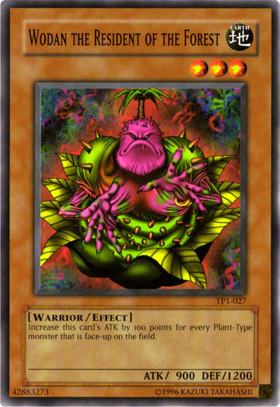 Wodan le résident de la forêt [TP1-027] Commun