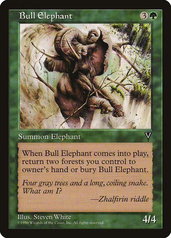 Éléphant mâle [Visions]