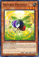 Naturia Mouche des fruits [HAC1-FR106] Commune