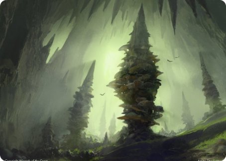 Forêt (280) Carte artistique [Donjons et Dragons : Aventures dans les Royaumes Oubliés - Série artistique]