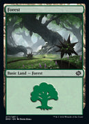 Bosque (277) [La Guerra de los Hermanos]