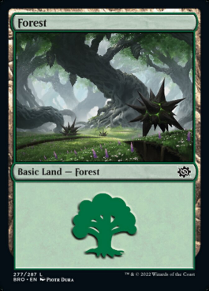 Bosque (277) [La Guerra de los Hermanos]