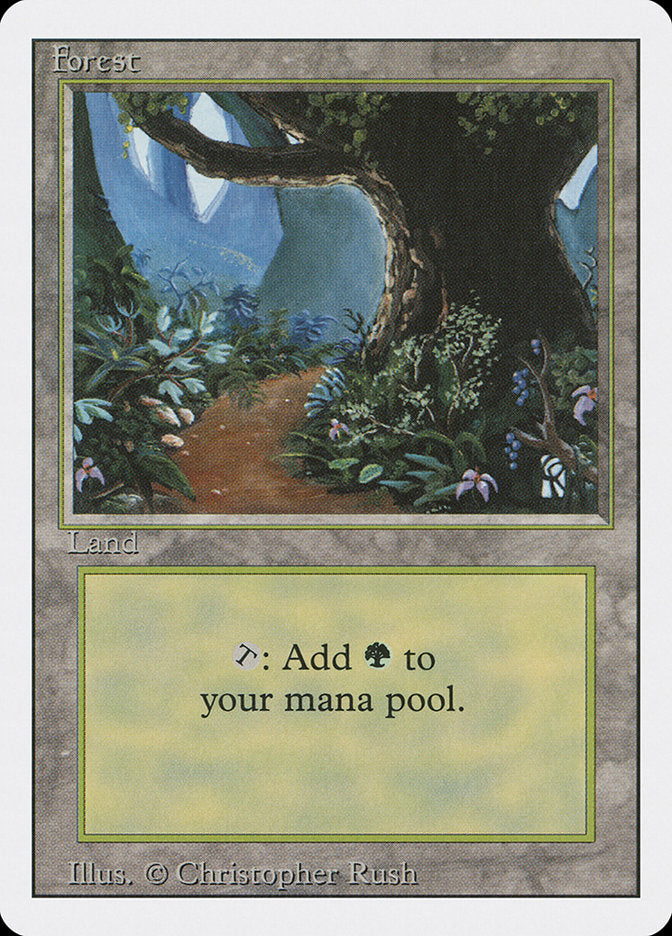 Forêt (Chemin de fleurs) [Édition révisée]