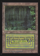 Bayou [Edición para coleccionistas]