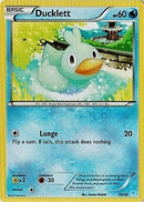 Canarticho (24/30) [XY: Kit du Dresseur 3 - Suicune]