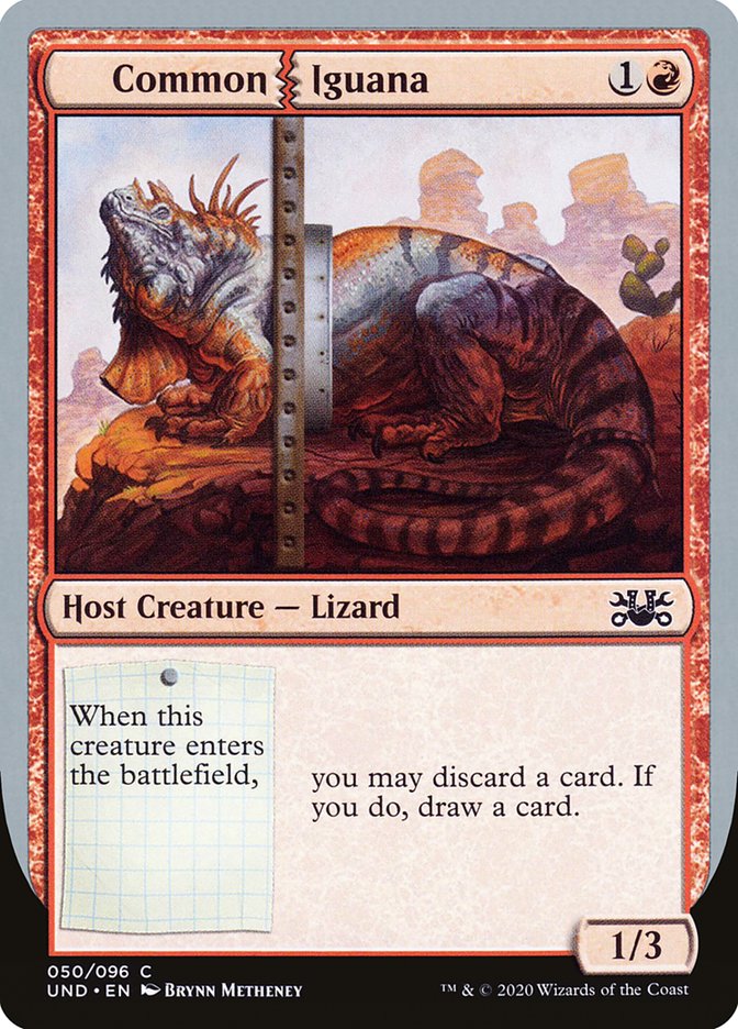 Iguane commun [Non autorisé]