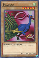 Pavo Real (25 Aniversario) [SRL-EN011] Común