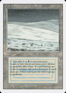 Tundra [Edición revisada]