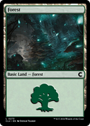 Forêt (0273) [Ravnica: Édition Cluedo]