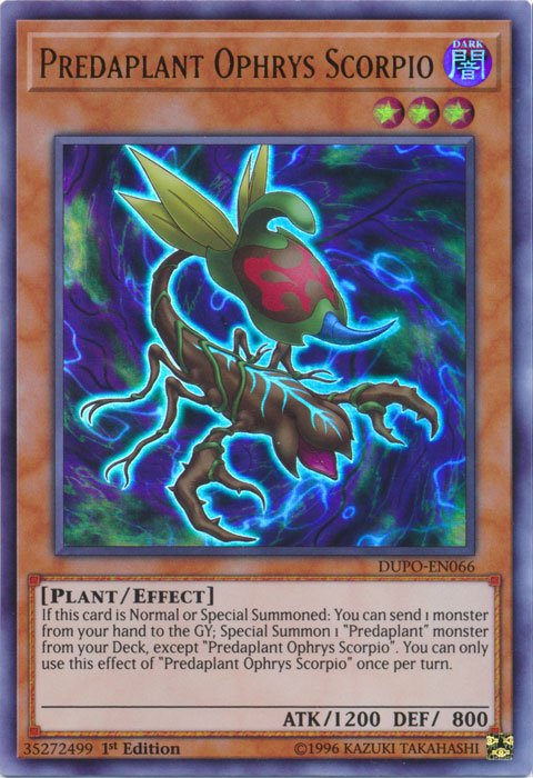 Prédaplante Ophrys Scorpion [DUPO-FR066] Ultra Rare