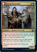 Naturaliste de Kessig // Seigneur de l'Ulvenwald [Innistrad: Chasse de Minuit]