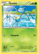 Surskit (13/160) [XY: Primo-Choc]