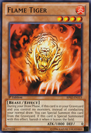 Tigre Flamboyant [BP02-FR113] Commune
