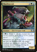 Requinspoulpe [Allégeance de Ravnica]