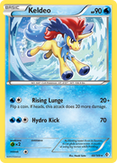 Keldeo (48/149) [Negro y Blanco: Fronteras Cruzadas]