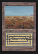 Matorral [Edición para coleccionistas]