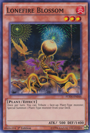 Fleur de feu solitaire [FUEN-FR046] Super Rare