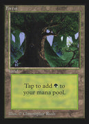 Forest (Les yeux dans l'arbre) [Édition internationale de collection]