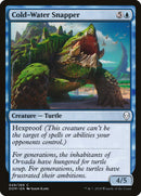 Vivaneau des eaux froides [Dominaria]