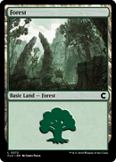 Forêt (0272) [Ravnica: Clue Edition]